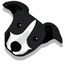 Borzoi Dog