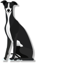 Borzoi Dog