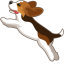Cute Beagle Puppy