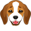 Cute Beagle Puppy