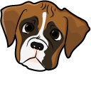 Cute Boxer Puppy