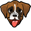 Cute Boxer Puppy
