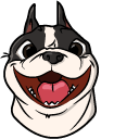 Cute French Bulldog Dog