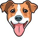 Cute Jack Russell Terrier Dog