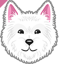 Cute Westie Dog