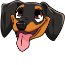 Dachshund Dog