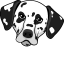 Dalmatian Dog