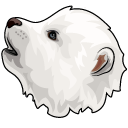 Dire Wolf Puppies