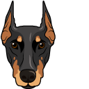 Doberman Dog