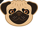 Funny Pug Dog