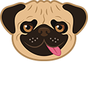 Funny Pug Dog