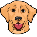 Golden Retriever Dog
