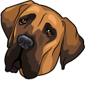 Great Dane Dog