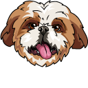 Shih Tzu Dog
