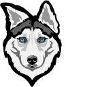 Siberian Husky Dog