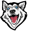 Siberian Husky Dog