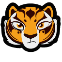 Kung Fu Panda Master Tigress
