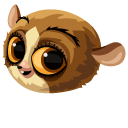 Madagascar Mort and Fluffy Tail