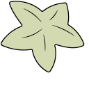 Ducktales Aletheia and Starfish
