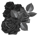 Black Roses
