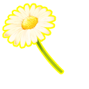 Bouquet of Daisies