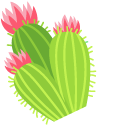 Cactus Flower