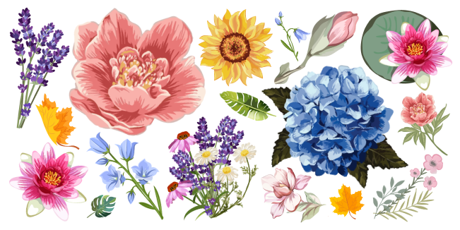 Flowers