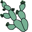 Hand-Drawn Cactus