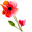 Hand Painted Poppy Flower