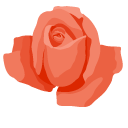 Orange Roses