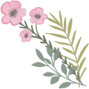 Pink Anemone Flower