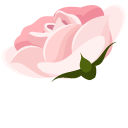 Pink Roses