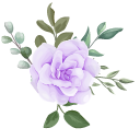 Purple Rose