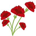 Red Сarnation