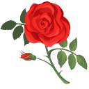 Red Roses