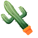 Saguaro Cactus