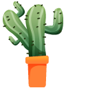 Saguaro Cactus
