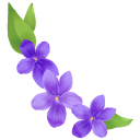 Viola Flower