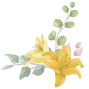 Yellow Lily