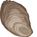 Oyster