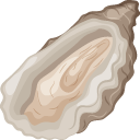 Oyster