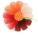 Sashimi