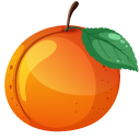 Apricot Fruit