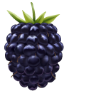 Blackberry