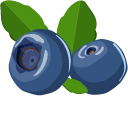 Blueberry