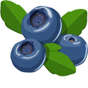 Blueberry