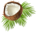 Coconut on Palm Leaves