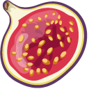 Fig Fruit