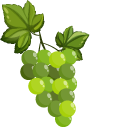 Grape
