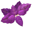 Green and Purple Basil Leaves
